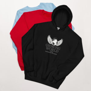 Ascendant Spirit Hoodie